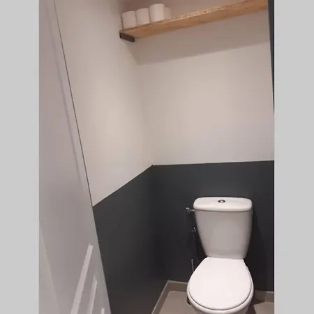 Logement Entier 4 Personnes Villefranche Sur Saone Exterior photo